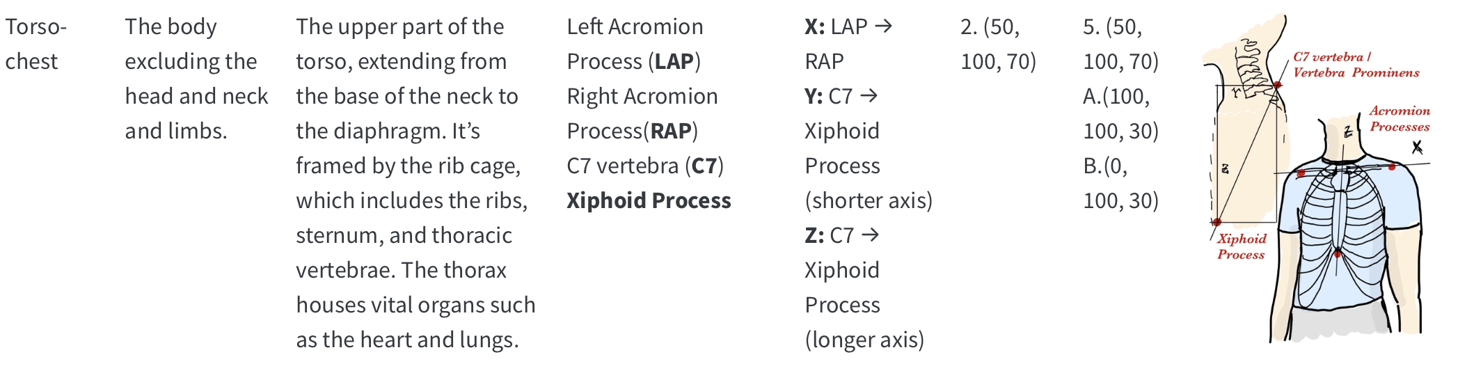 Standardized sensor placement framework with anatomical landmarks